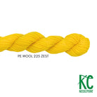 Planet Earth Merino Wool 225 Zest - KC Needlepoint