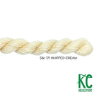 Silk & Ivory 171 Whipped Cream - KC Needlepoint