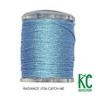 Radiance Jewel 13 J756 Catch Me - KC Needlepoint