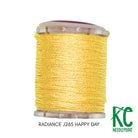 Radiance Jewel J265 Happy Day - KC Needlepoint