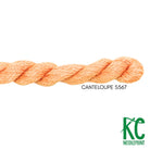 Essentials Skein S567 Cantaloupe - KC Needlepoint