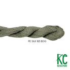 Planet Earth Silk 183 Bog - KC Needlepoint