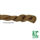 Planet Earth Silk 036 Lion - KC Needlepoint