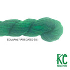 Pepper Pot Silk Variegated Skein 315 Edamame - KC Needlepoint