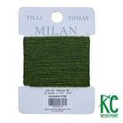 Milan Card 2709 Iguana - KC Needlepoint