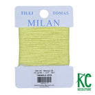 Milan Card 2579 Twinkle - KC Needlepoint