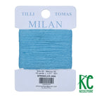 Milan Card 2696 Sprinkler - KC Needlepoint