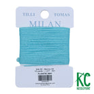 Milan Card 2691 Floatie - KC Needlepoint