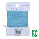 Milan Card 2791 Shaved Ice - KC Needlepoint