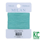 Milan Card 2810 Feather - KC Needlepoint