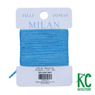 Milan Card 2697 Splash - KC Needlepoint