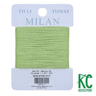 Milan Card 2717 Appletini - KC Needlepoint