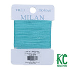 Milan Card 2670 NIle - KC Needlepoint