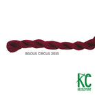 Bisous Skein 2035 Circus - KC Needlepoint