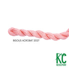 Bisous Skein 2027 Acrobat - KC Needlepoint