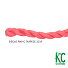 Bisous Skein 2029 Flying Trapeze - KC Needlepoint
