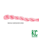 Bisous Skein 2028 Sideshow - KC Needlepoint
