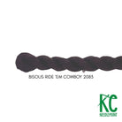 Bisous Skein 2083 Ride-em Cowboy - KC Needlepoint