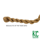 Bisous Skein 2072 Eye of the Tiger - KC Needlepoint