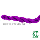 Bisous Skein 2162 Top of the World - KC Needlepoint