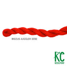 Bisous Skein 2030 Juggler - KC Needlepoint