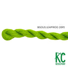 Bisous Skein 2093 Leapfrog - KC Needlepoint