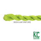 Bisous Skein 2092 Jump Start - KC Needlepoint