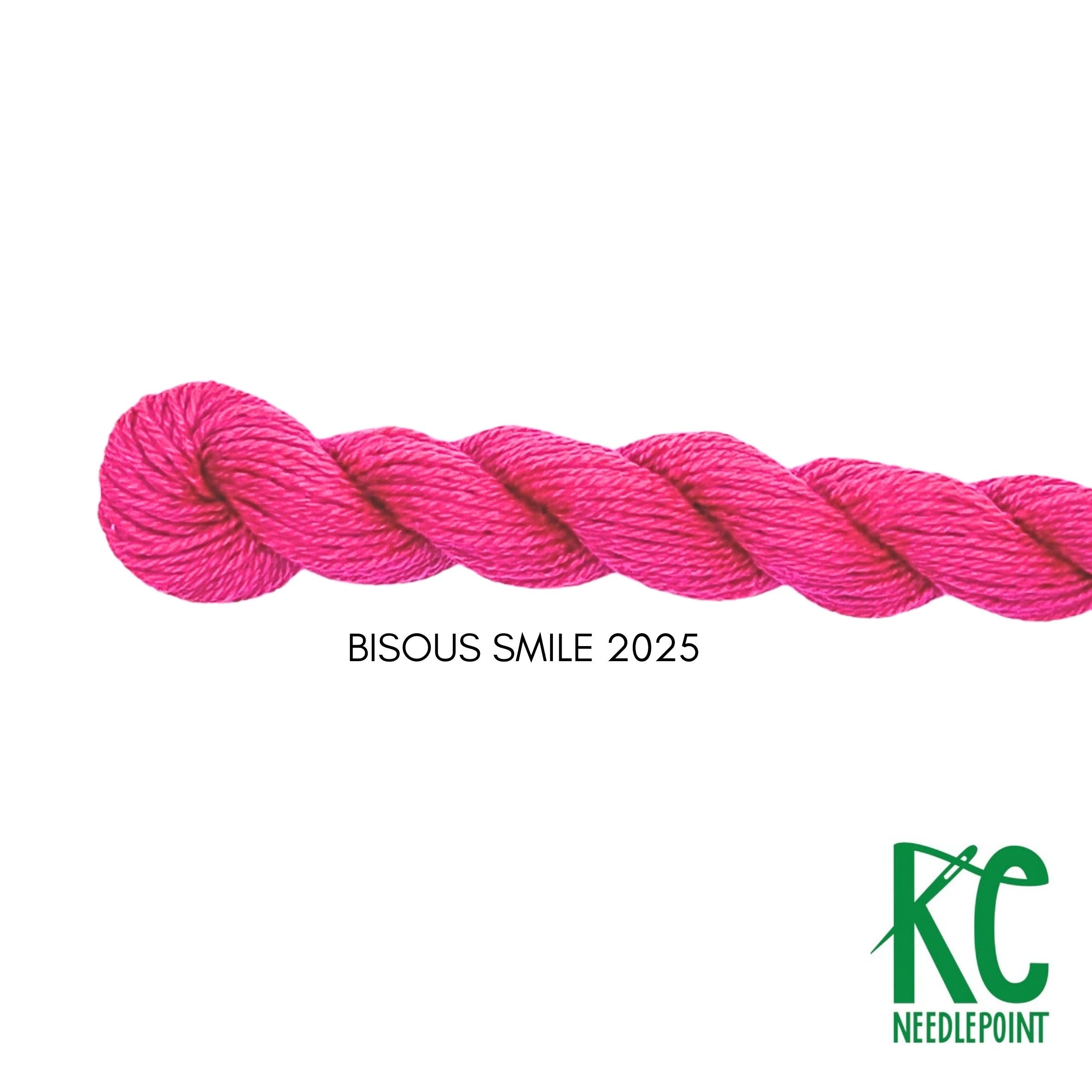 Bisous Skein 2025 Smile - KC Needlepoint