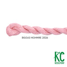 Bisous Skein 2026 Highwire - KC Needlepoint