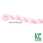 Bisous Skein 2020 Wink - KC Needlepoint