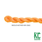 Bisous Skein 2062 Mother Hen - KC Needlepoint