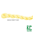 Bisous Skein 2057 Tweety - KC Needlepoint