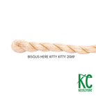 Bisous Skein 2069 Here Kitty Kitty - KC Needlepoint