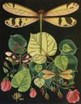 Dragonflies and Roses Needlepoint Canvas - needlepoint