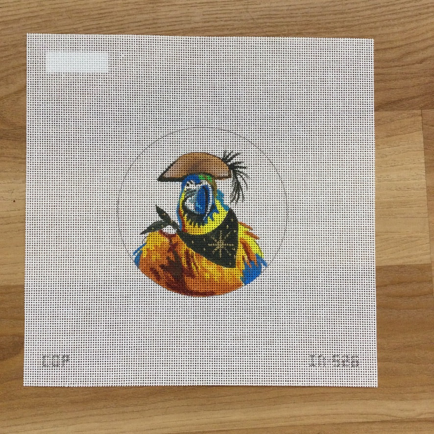 Pirate Parrot Canvas - KC Needlepoint