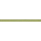 Plaid Needlepoint Belt Canvas - KC Needlepoint