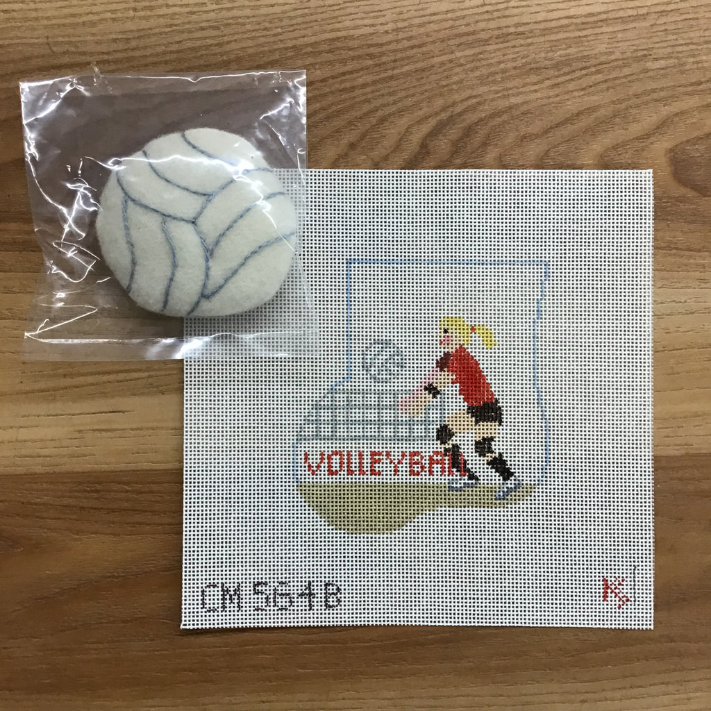 Volleyball Girl with Ball Mini Sock Canvas - KC Needlepoint