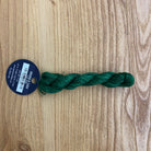 Planet Earth 6 Ply Variegated V1333 Gecko - KC Needlepoint