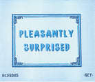 Pleasantly Surprised Canvas - KC Needlepoint