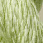 Vineyard Silk C064 Daiquiri - KC Needlepoint