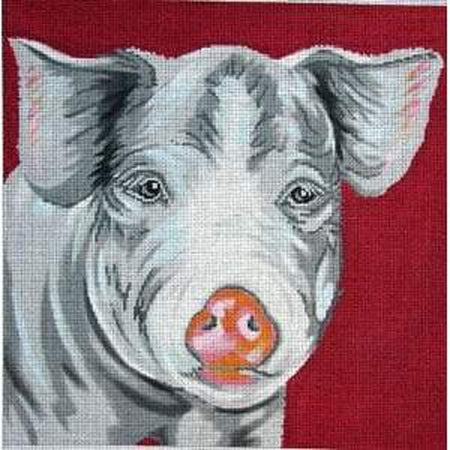 Pig on Maroon Canvas - KC Needlepoint