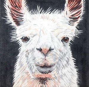 Llama Canvas - KC Needlepoint