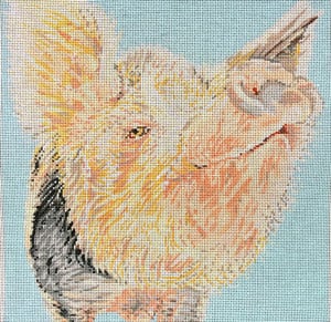Snooty Pig Canvas - KC Needlepoint