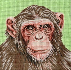 Monkey Canvas - KC Needlepoint