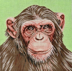 Monkey Canvas - KC Needlepoint
