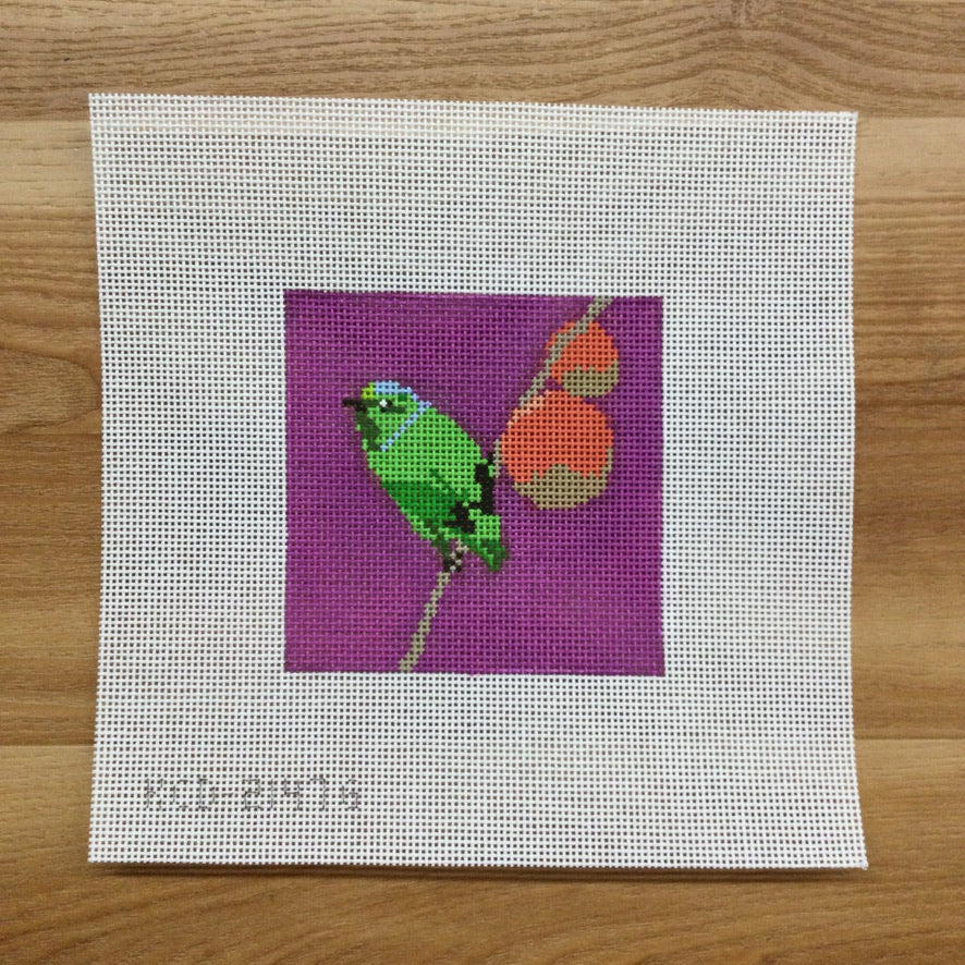 Green Bird Canvas - KC Needlepoint