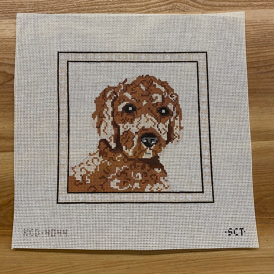 Sir Doodle Canvas - KC Needlepoint