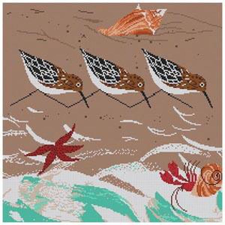Beach Birds Canvas - KC Needlepoint