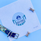 Dog Park - Spaniel Canvas - KC Needlepoint