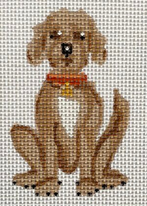 Cooper the Doodle Canvas - KC Needlepoint